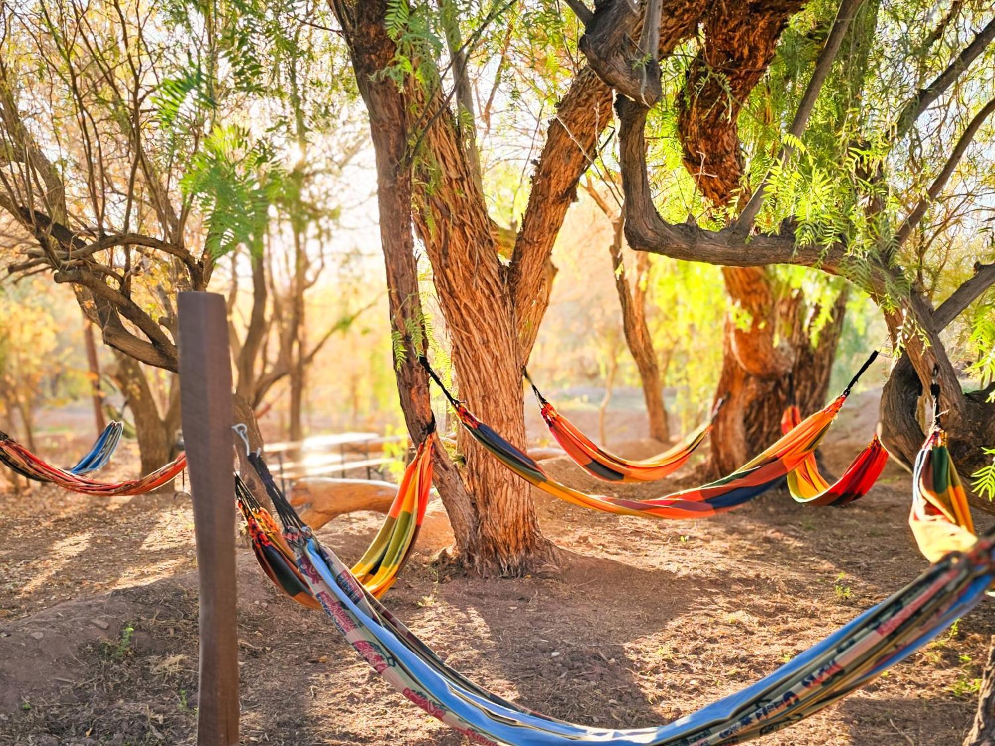 Lodge Ancar Atacama San Pedro de Atacama Dış mekan fotoğraf