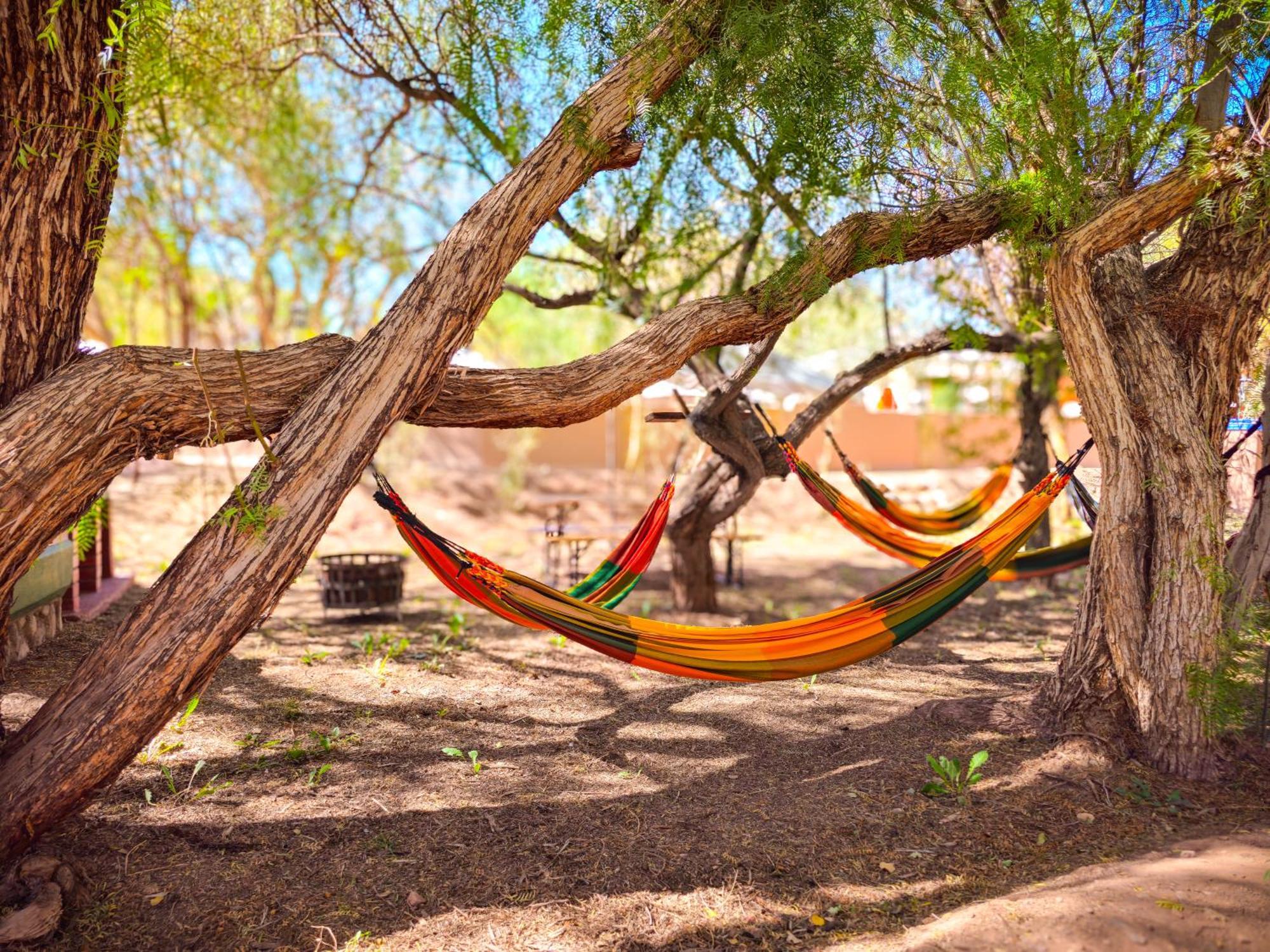 Lodge Ancar Atacama San Pedro de Atacama Dış mekan fotoğraf